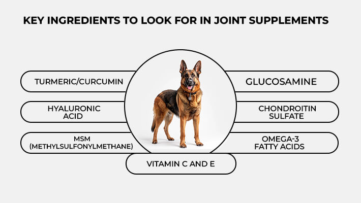 Key-ingredients-to-look-for-in-joint-supplements